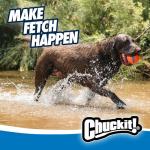 ChuckIt! Ultra Ball for Big Dogs, Durable Rubber