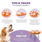 Outward Hound Nina Ottosson Dog Smart Puzzle Toy