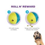Outward Hound Nina Ottosson Beginner Dog Puzzle Toy