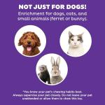 Outward Hound Nina Ottosson Puppy Puzzle Toy