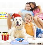 Interactive Dog Puzzle Toy for Boredom Relief