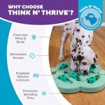 Outward Hound Nina Ottosson Puppy Puzzle Toy