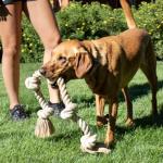 Fida Indestructible Dog Tug Rope Toy, 92cm