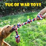 Indestructible Rope Toys for Aggressive Chewers