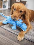 goDog Gators Blue Large Squeaky Dog Toy