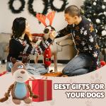 QILUCKY Squeaky Plush Dog Toys for Small Dogs