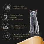 Sheba Fishy Flavours Wet Cat Food 80x85g
