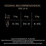 Sheba Succulent Flakes Cat Wet Food - 4 Pack