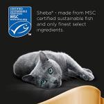 Sheba Fishy Flavours Wet Cat Food 80x85g