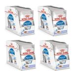 Royal Canin Indoor Sterilised Adult Cat Food Jelly