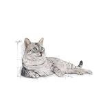 Royal Canin Indoor Cat Food - Appetite Control 2kg