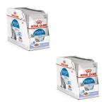 Royal Canin Indoor Sterilised Cat Food in Jelly