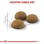 Royal Canin Indoor Long Hair Cat Food 10kg