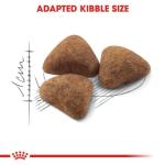 Royal Canin Indoor Adult Dry Cat Food 2 Pack