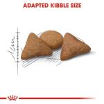 Royal Canin Indoor Appetite Control Dog Food 4kg