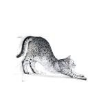 Royal Canin Indoor Adult Dry Cat Food 2 Pack