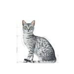 Royal Canin Indoor Gravy for Sterilized Cats 12-Pack