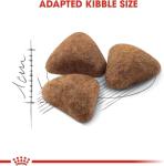 Royal Canin Indoor 27 Cat Food 4kg