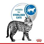 Royal Canin Indoor Sterilised Cat Food in Jelly