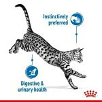 Royal Canin Indoor Gravy for Sterilized Cats 12-Pack