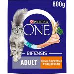 Purina ONE Chicken & Wholegrains Cat Food 800g