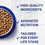 Purina One Chicken & Whole Grains Cat Food