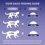 Purina ONE Chicken Dry Cat Food, 750g Pack