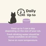 Applaws Natural Kitten Food Multipack in Jelly