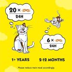 Dreamies Tuna Cat Treats, Pack of 2