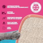 Felight Antibacterial Non-Clumping Cat Litter 20L