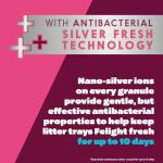 Felight Antibacterial Non-Clumping Cat Litter 20L