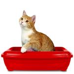 Cat Litter Odor Eliminator Spray, 500 ml
