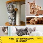 Covered Cat Litter Tray with Flap Door