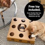 Modkat Litter Box - Top Entry, Litter Tracking Reduced