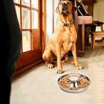 SOUJOY Stainless Steel Non-Skid Pet Feeding Bowls
