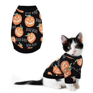 Cute Pumpkin Halloween Sweater for Small Pets