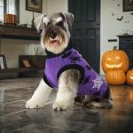 CooShou Halloween Dog Sweater with Spooky Patterns