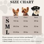 Cute Halloween Dresses for Small Dogs and Puppies