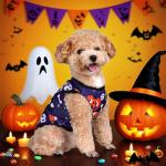 Halloween Ghost Dog Shirts - 4 Pack for Pets