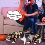 Cute Pumpkin Halloween Sweater for Small Pets