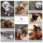 KYEESE Adorable Pumpkin Dog Pajamas for Halloween