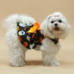 PUPTECK Halloween Dog Dress with Cute Bowtie