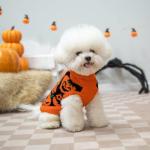 Halloween Pumpkin Dog Sweater with Leash Hole