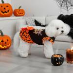 Cute Halloween Dresses for Small Dogs and Puppies