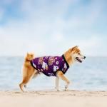 Halloween Dog Shirts 4 Pack for Medium Large Dogs
