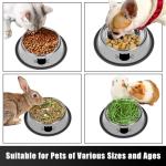 2 Pack Non-Slip Stainless Steel Cat Bowls