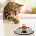 2 Pack Non-Slip Stainless Steel Cat Bowls