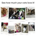 Colorful 30-Pack Cat Spring Toys for Playtime