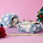 Cozy 2-in-1 Cat Cave Bed with Pillow