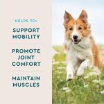 VetIQ Hip & Joint Chews for Dogs 60 Count